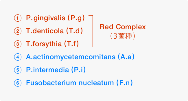 「Red Complex（3菌種）：P.gingivalis (P.g)、T.denticola (T.d)、T.forsythia (T.f)」「A.actinomycetemcomitans (A.a)」「P.intermedia (P.i)」「Fusobacterium nucleatum (F.n)」
