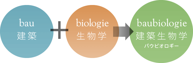 建築と生物学を融合させた建築生物学