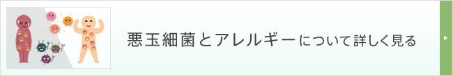 悪玉細菌とアレルギーについて詳しく見る