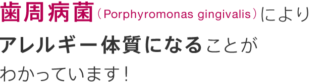 歯周病菌（Porphyromonas gingivalis＜以下P.G菌＞）により、アレルギー体質になることがわかっています！