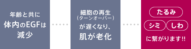 体内のEGFの減少は「たるみ」「シミ」「しわ」に繋がります