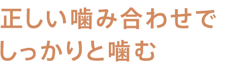 正しい噛み合わせでしっかりと噛む