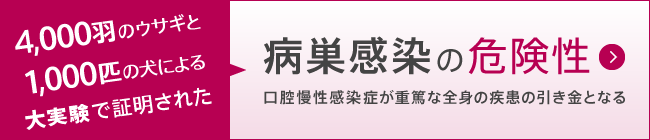 4000羽のウサギと1000匹の犬による大実験で証明された病巣感染の危険性。口腔慢性感染症が重篤な全身の疾患の引き金となる。