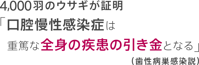 4,000羽のウサギが証明「口腔慢性感染症は重篤な全身の疾患の引き金となる」(歯性病巣感染説)