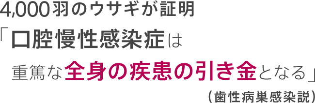 4,000羽のウサギが証明「口腔慢性感染症は重篤な全身の疾患の引き金となる」（歯性病巣感染説）