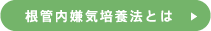 根管内嫌気培養法とは