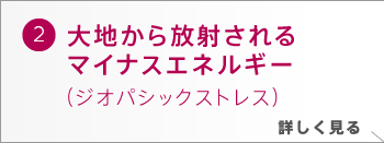 大地から放射されるマイナスエネルギー ジオパシックストレス