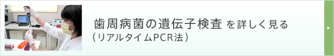 歯周病菌の遺伝子検査（リアルタイムPCR法）を詳しく見る