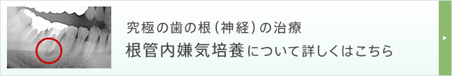 究極の歯の根（神経）の治療 根管内嫌気培養について詳しくはこちら