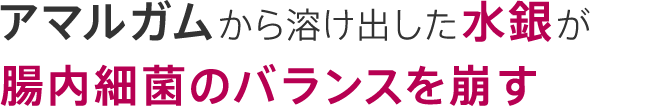 アマルガムから溶け出した水銀が腸内細菌のバランスを崩す