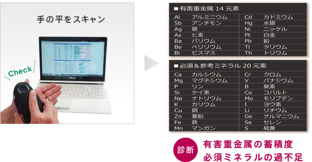 有害重金属の蓄積度、必須ミネラルの過不足を診断します。