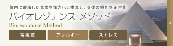 バイオレゾナンス：体内に蓄積した毒素を無力化し排毒し、身体の機能を正常化する。「電磁波」「アレルギー」「ストレス」