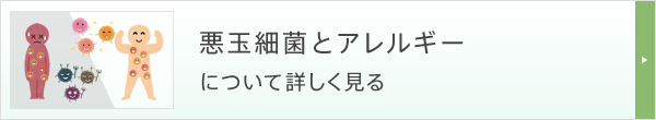 悪玉細菌とアレルギーについて詳しく見る