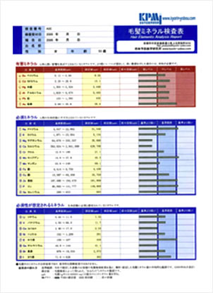 毛髪検査診断表