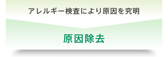 アレルギー検査により原因を究明して、原因を除去