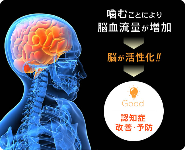 噛むことにより脳血流量が増加し、脳が活性化、認知症の改善・予防に繋がります。