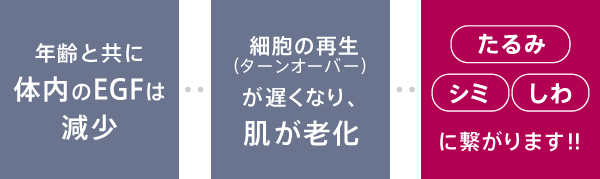 体内のEGFの減少は「たるみ」「シミ」「しわ」に繋がります