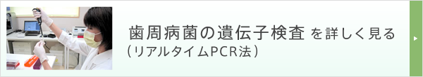 歯周病菌の遺伝子検査（リアルタイムPCR法）を詳しく見る