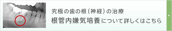 究極の歯の根（神経）の治療 根管内嫌気培養について詳しくはこちら