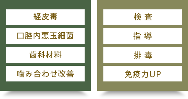 歯科領域：経皮毒、口腔内悪玉細菌、歯科材料、噛み合わせ改善、医科領域：検査、指導、排毒、免疫力アップ