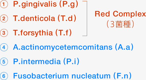 「Red Complex（3菌種）：P.gingivalis (P.g)、T.denticola (T.d)、T.forsythia (T.f)」「A.actinomycetemcomitans (A.a)」「P.intermedia (P.i)」「Fusobacterium nucleatum (F.n)」