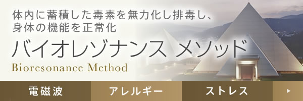 体内に蓄積した毒素を無力化し排毒し、身体の機能を正常化。バイオレゾナンス